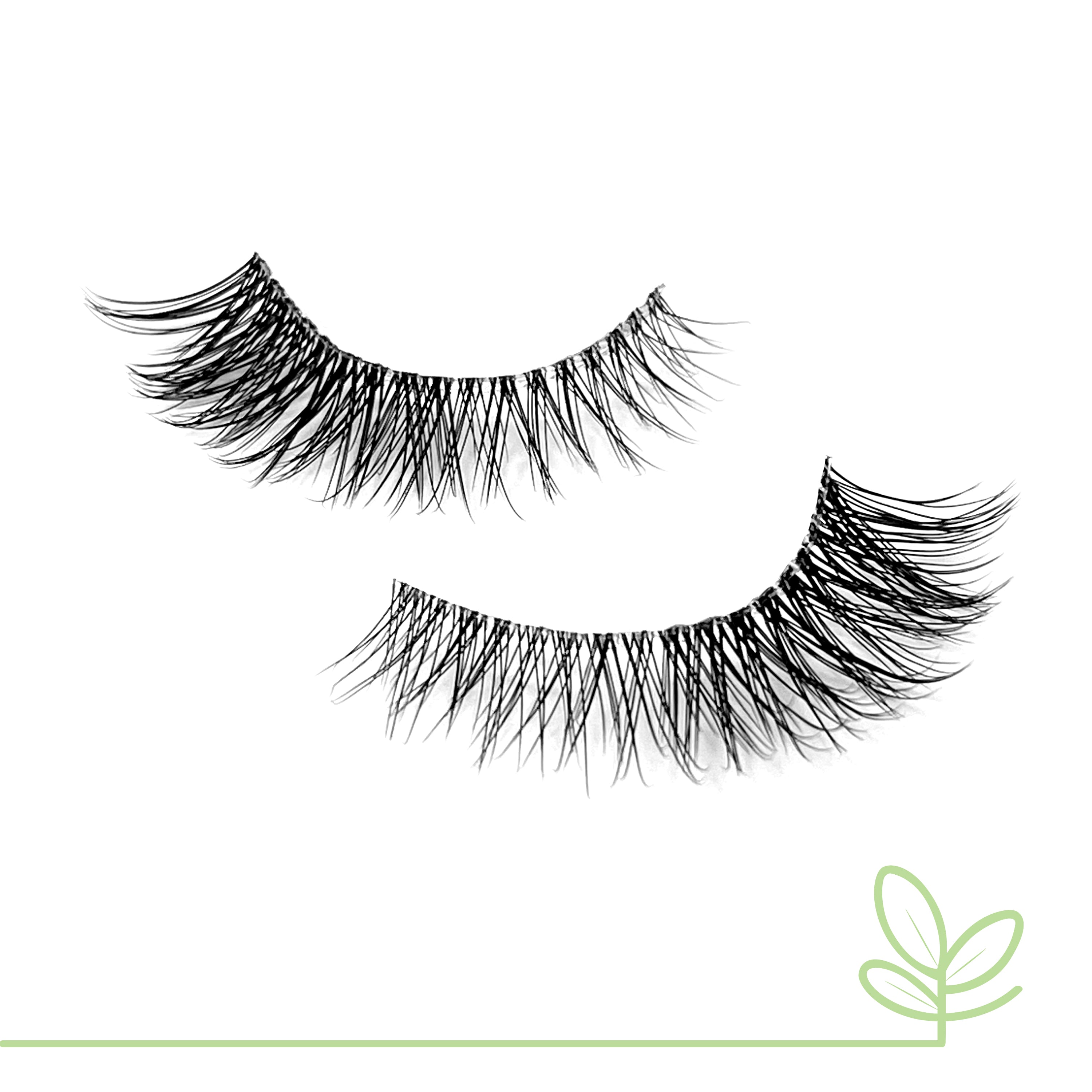 ALOE - Eyecha Lashes