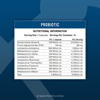 Probiotic - Advanced Multi-Strain Formula | 60 Capsules